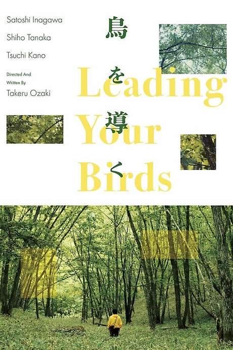 Leading Your Birds